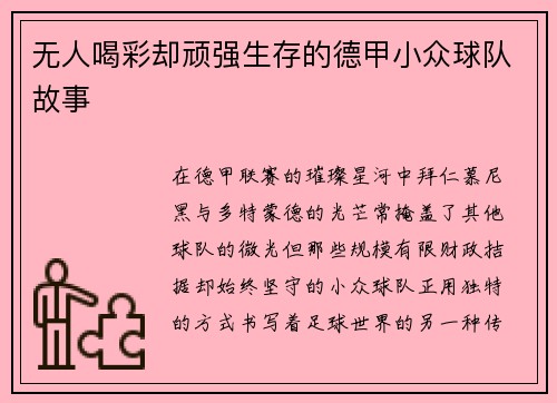 无人喝彩却顽强生存的德甲小众球队故事